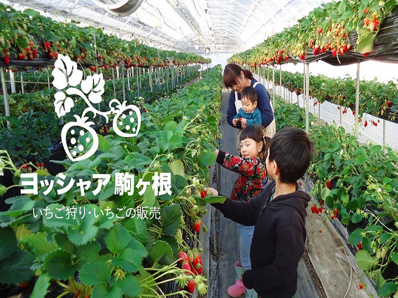 ͔|íAЂ߁Agق؁ACx[A悢Ђ߂4ށI