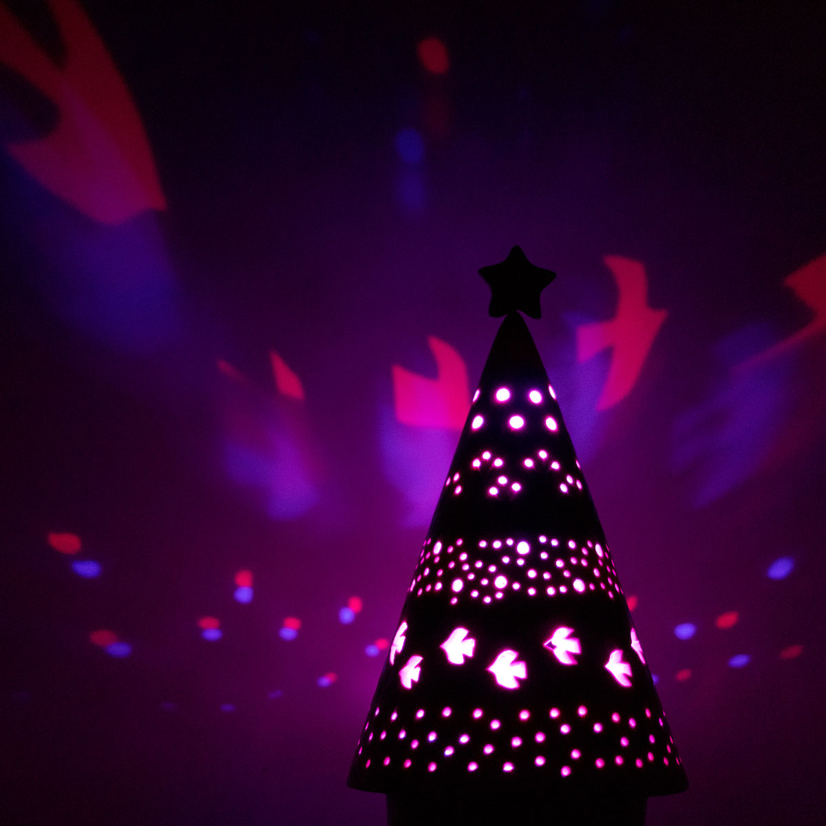 V[YX'masTreeLight@ʐ^ł͂܂B