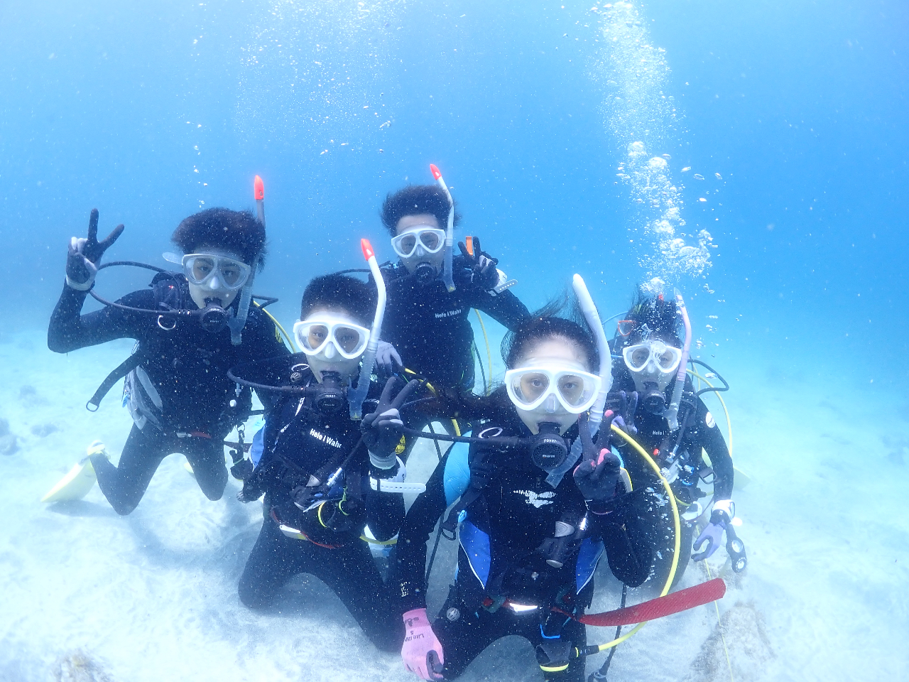 【体験ダイビング】お手軽に非日常の世界へ!初心者歓迎のビギナー向けダイビング!
