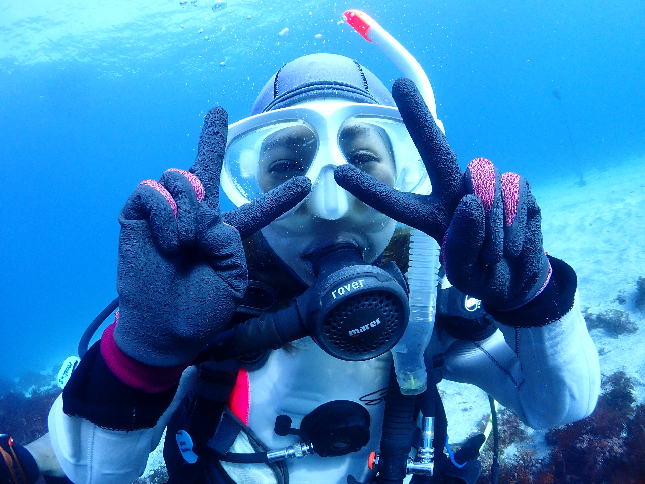 ~͔GȂhCX[c1NōłxǂCɐ܂B