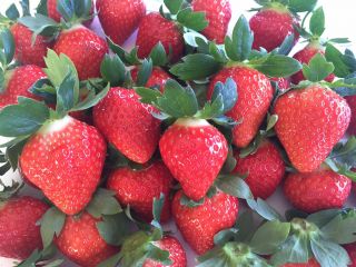 お腹いっぱいお召し上がりください!!