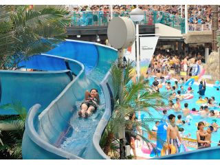 スライダー 4種共通1日券 日帰り入場券 最新のビッグアロハ ワンダーブラック ワンダーリバー ワンダーホルン乗り放題 ファミリー カップルにおすすめ スパリゾートハワイアンズ じゃらん遊び体験