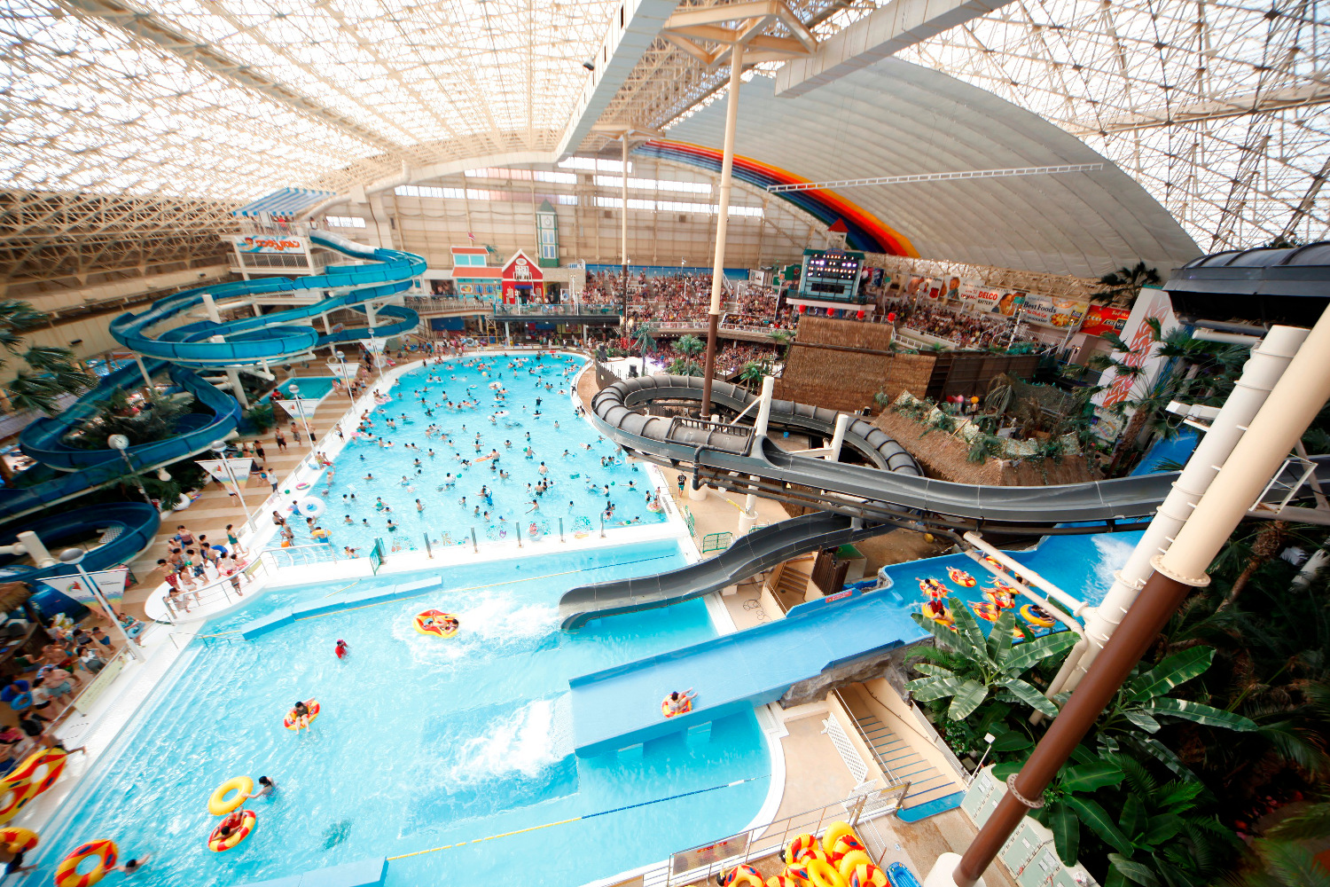 ハワイアンズを代表するウォーターパーク。常夏ドームには、大プールのほか、日本初の流れるアクアリウムプールやスリル溢れる3種のウォータースライダーがあります。