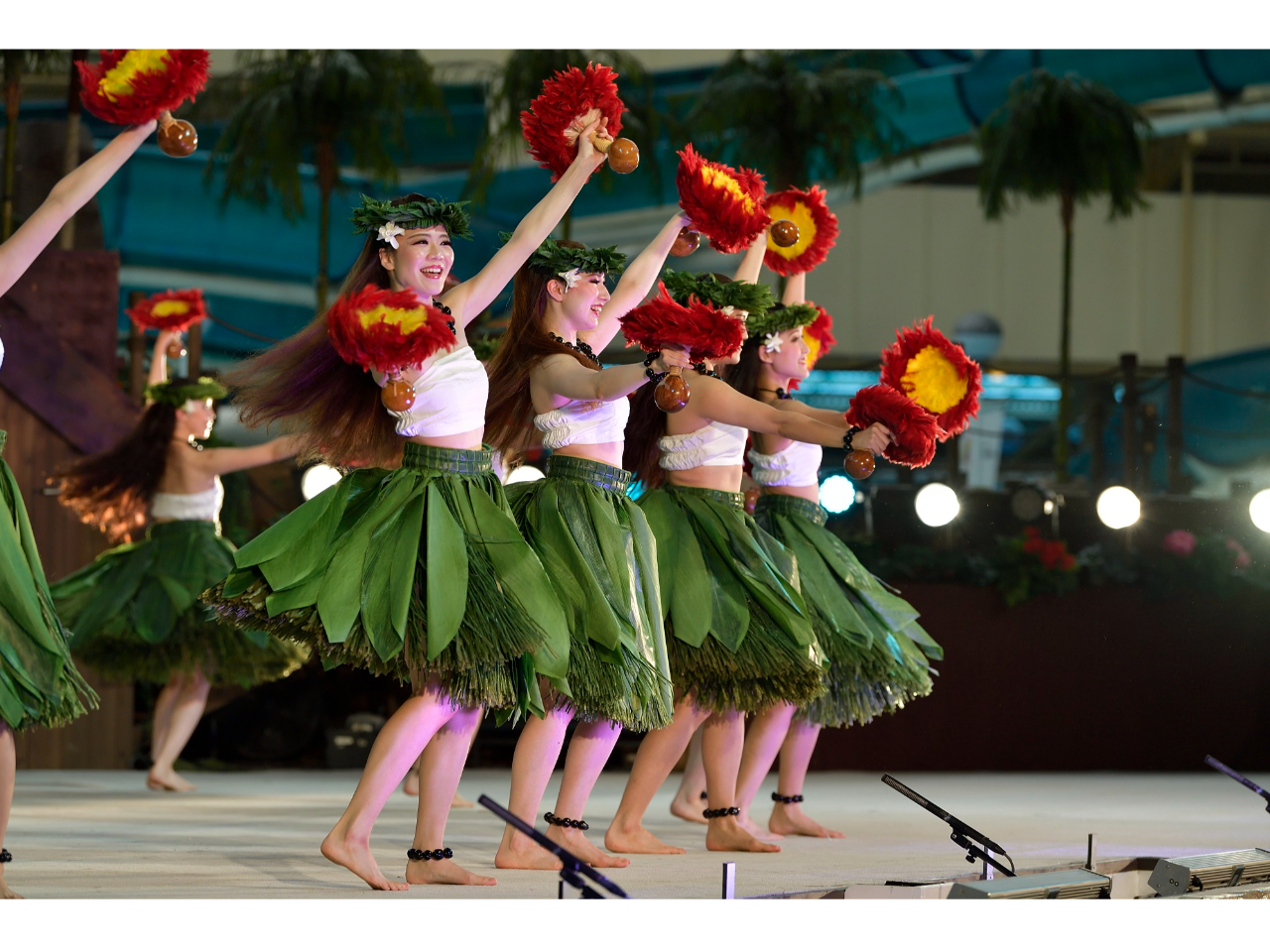 ポリネシアン・サンライトカーニバル