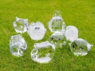 ガラスモンスター