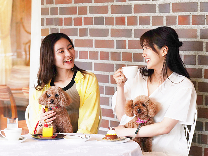 ワンちゃんと一緒にティータイムができます♪ぜひ旅行の休憩に遊びにいらしてください