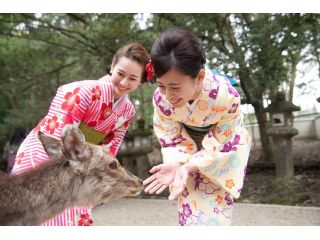 グループ割引 お出かけプラン 着物を着て奈良の町を散策 わぷらす奈良 じゃらん遊び体験