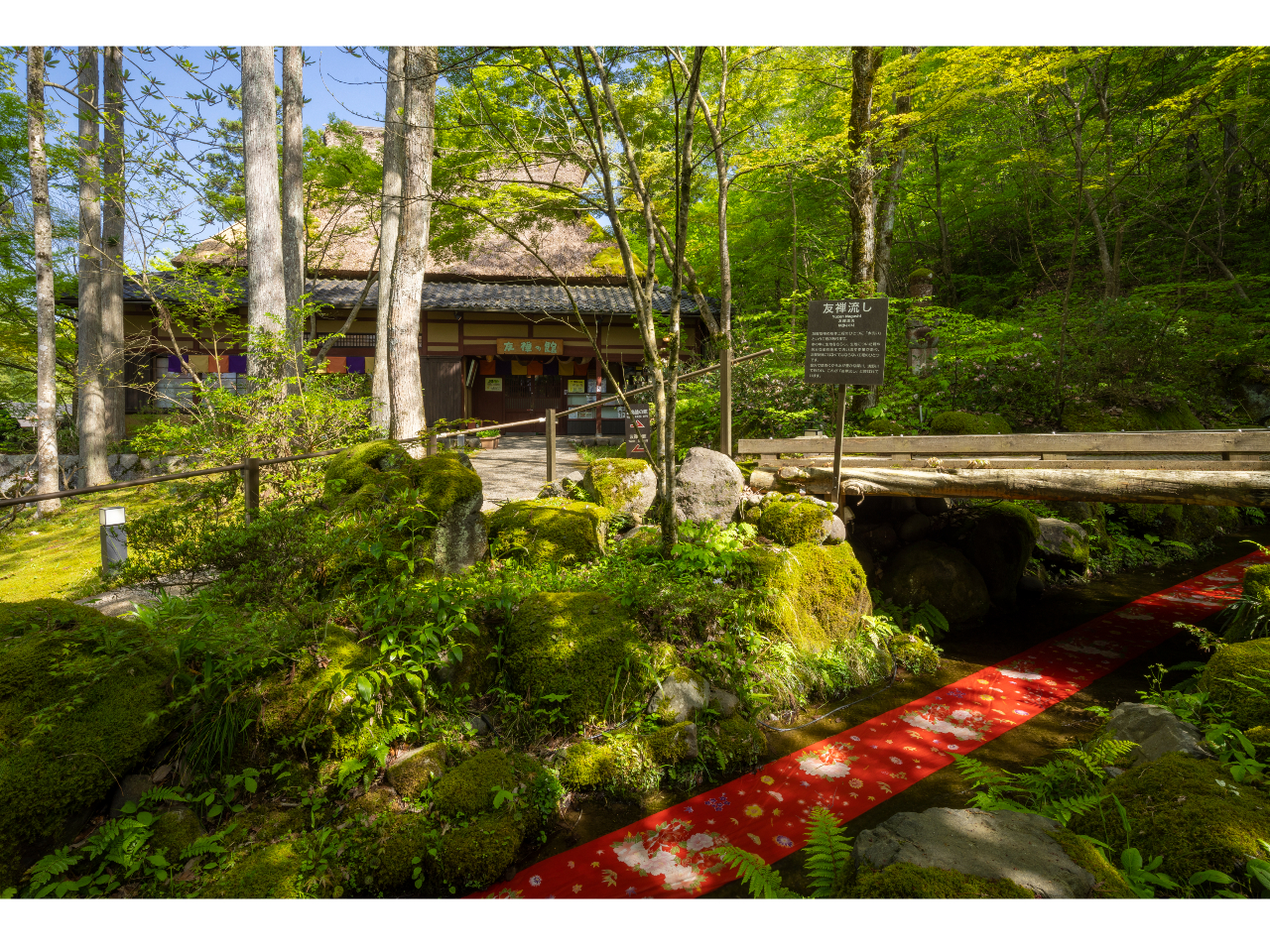 �F�T�ّ̊O�̗F�T����