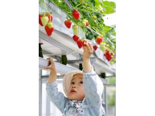 お子さんにも大人気♪