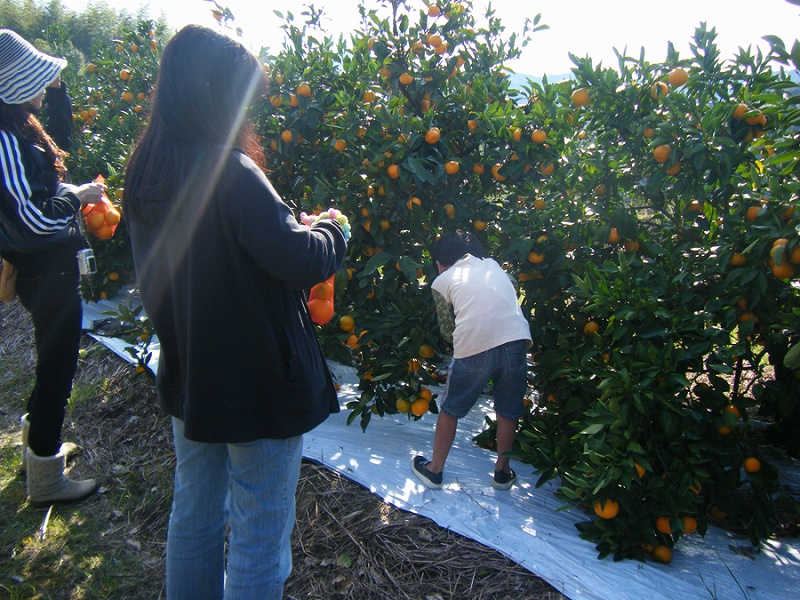 ƑŗVтɗĒ܂BɎq񂪊撣Ă܂B