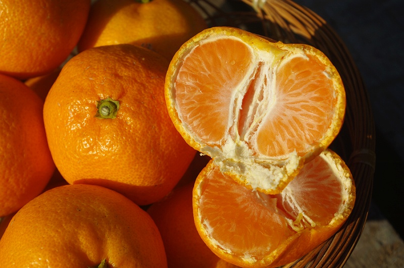 11㔼̃IWFɐFt݂łBǂFt̂邵ƂO̕ŁAGî݂悤ȁǰ`̕ÂĔłB