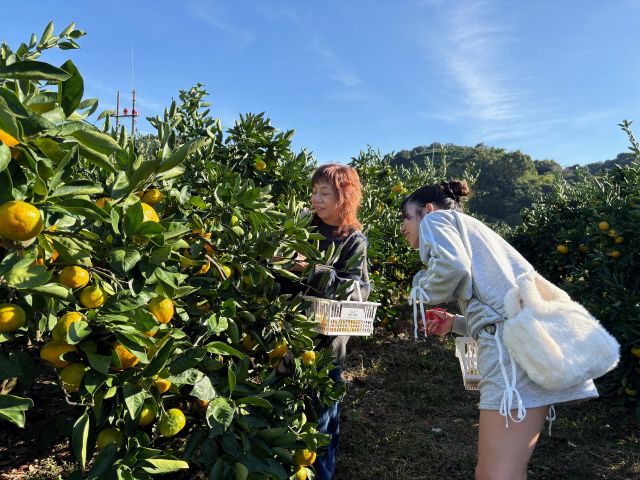 これがいいと思うよ