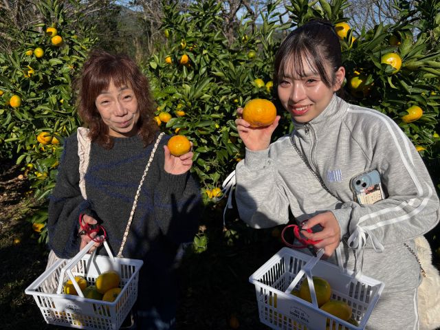美味しそうなのが採れましたね!