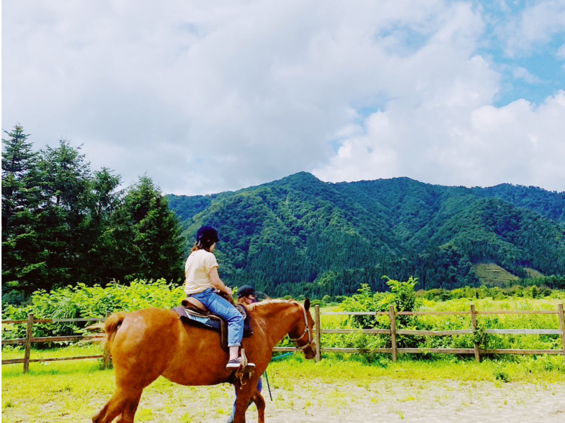 OɏoOɁAŃX^btJɎwĂ܂I