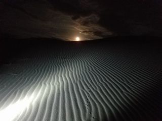 月明りと風紋の世界