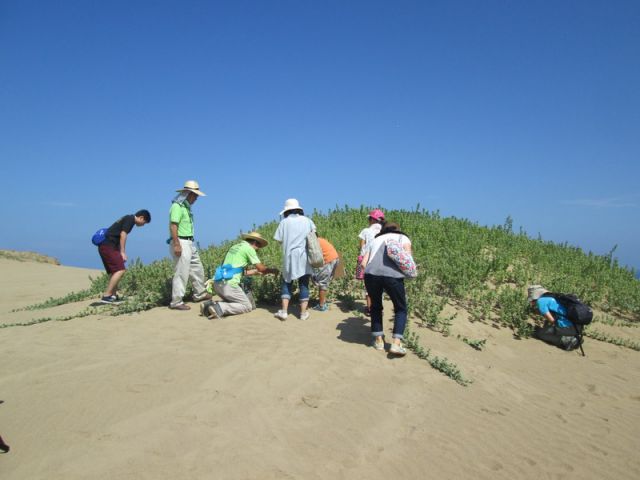 1日1組のファミリー様限定 遊びながら学ぼう 鳥取砂丘 夏休み 自由研究コース とっとり観光ガイドセンター じゃらん遊び体験 1日1組のファミリー様限定 遊びながら学ぼう 鳥取砂丘 夏休み 自由研究コース とっとり観光ガイドセンター じゃらん遊び体験