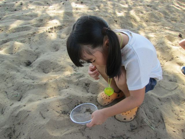 1日1組のファミリー様限定 遊びながら学ぼう 鳥取砂丘 夏休み 自由研究コース とっとり観光ガイドセンター じゃらん遊び体験 1日1組のファミリー様限定 遊びながら学ぼう 鳥取砂丘 夏休み 自由研究コース とっとり観光ガイドセンター じゃらん遊び体験