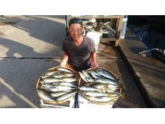 三崎口駅周辺の釣り 釣り堀 渓流釣り 海釣り 釣り船等 ランキングtop10 じゃらんnet