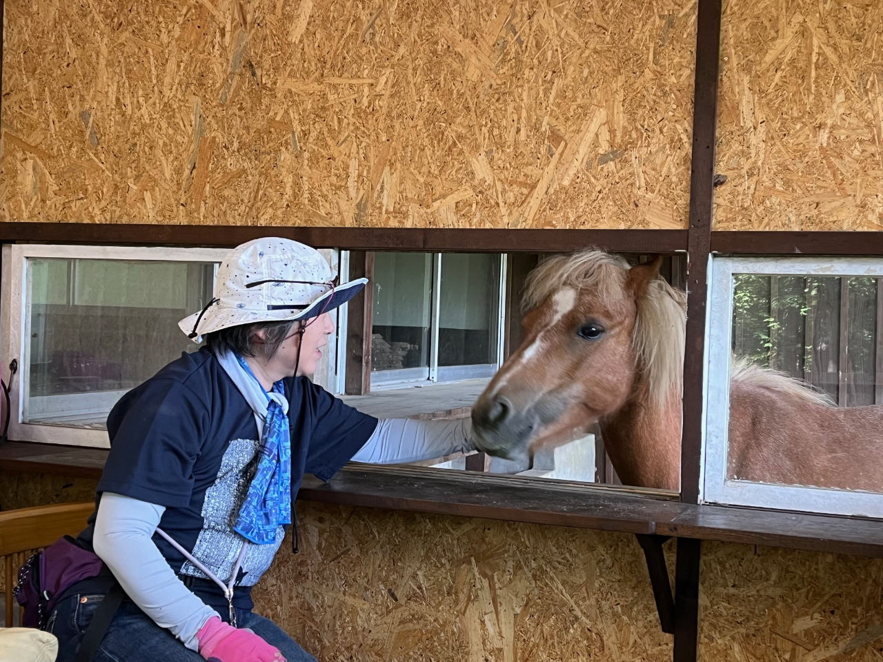 くるみホースピクニック】馬に乗りZAOくるみの森でゆるり馬旅！（外乗