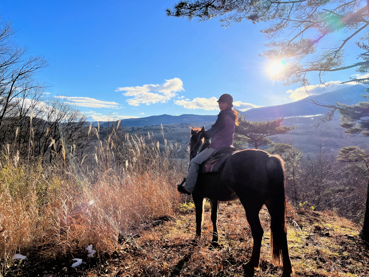 ΂ĕ̋u܂Łi݃Jg[R[Xj