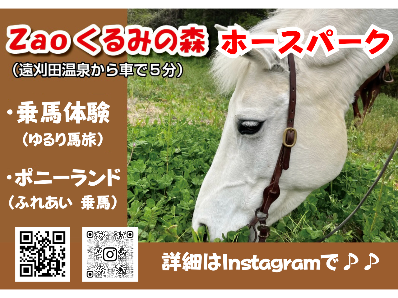 くるみホースピクニック】馬に乗りZAOくるみの森でゆるり馬旅！（外乗
