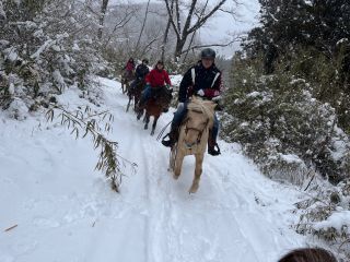 雪上馬旅〜白銀の世界を馬で疾走