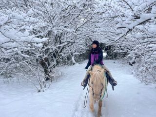 雪上馬旅〜白銀の世界を馬で疾走