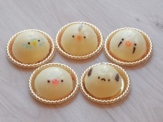 【セキセイ( ブルー) 】【オカメ(ホワイトフェイス)】【キンカチョウ(イザベラ)】 【文鳥(白)】【シマエナガ】