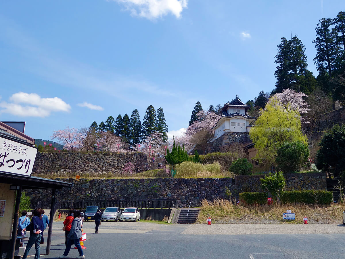 そば打ち体験 60分食べ放題セット 出石城山ガーデン じゃらん遊び体験 そば打ち体験 60分食べ放題セット 出石城山ガーデン じゃらん遊び体験