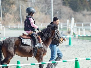 乗馬倶楽部入会前の乗馬体験を楽しんで頂けます。