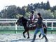 毎週楽しく乗馬しながら、レベルアップを目指しましょう!