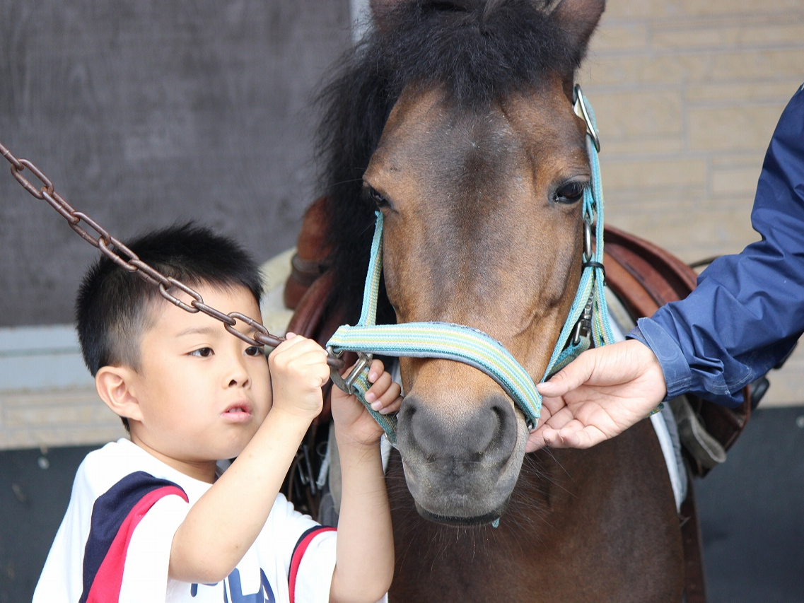 ñCnwׂ5R[X́AnS҂̂тqłSĎuo܂B