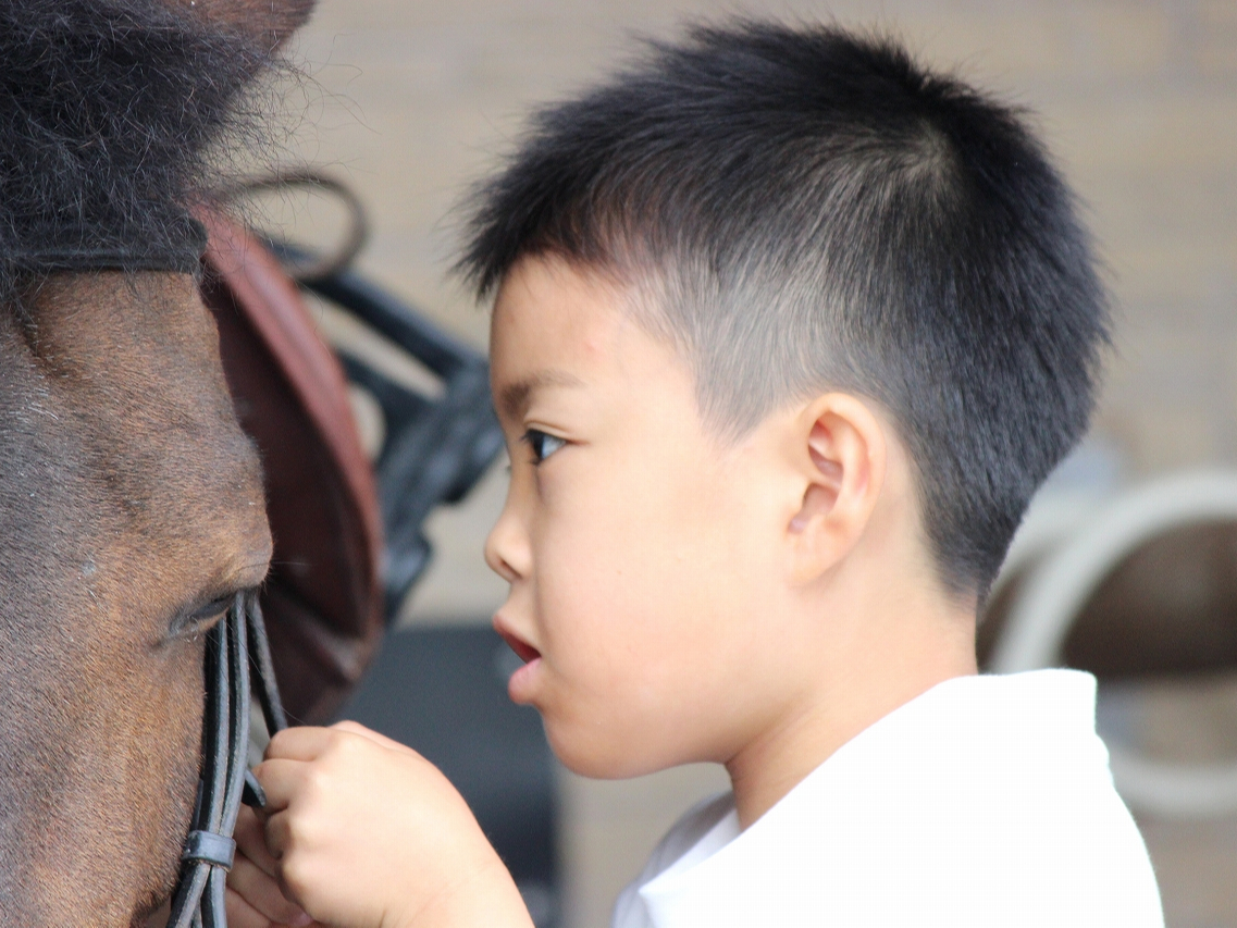 WĂuĂlqBnƊԋ߂ɃR~jP\VƂ܂B