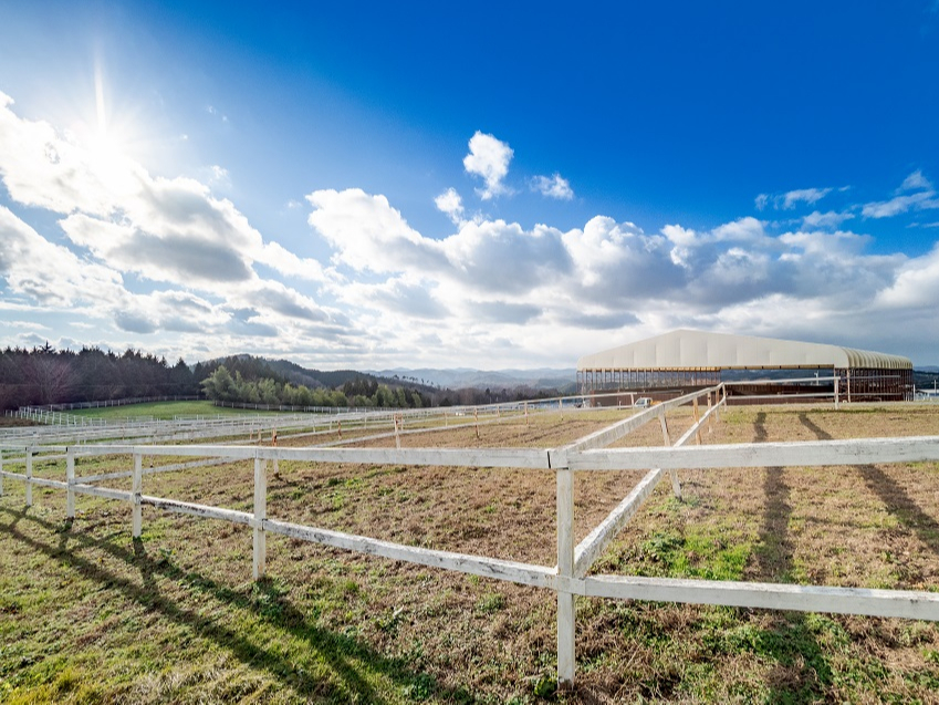 {ő勉̏n{݂ŁA`rbq̃xAbvI