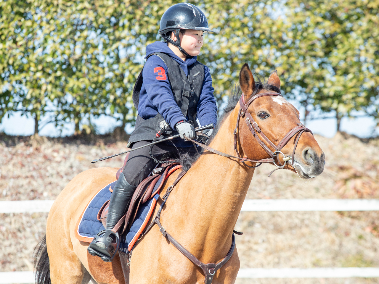 n߂1No߂ĂȂȂ܂ȂȂKĂĂ܂B