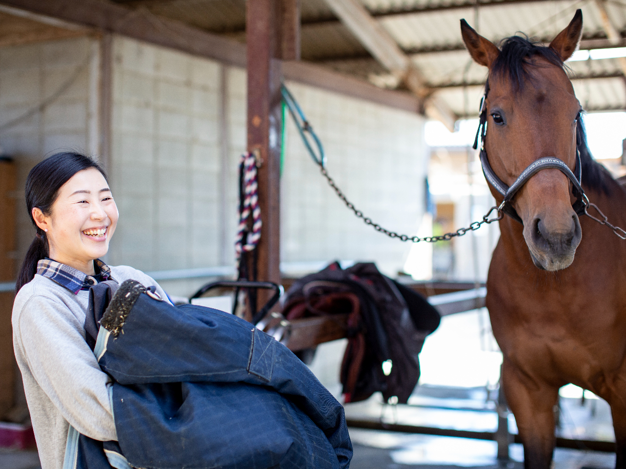 Rgɂ鉪Rny͖50̔nĂ܂B