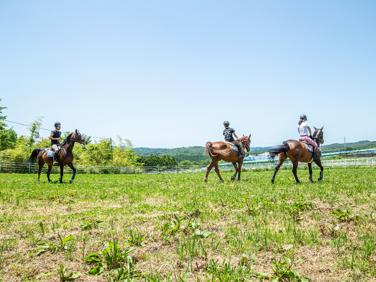 Lqnł́[т肳ĂAƂ났܂B