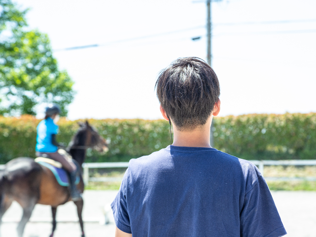 ̑I鉪Rnył͓XĂ܂B