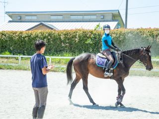 岡山乗馬倶楽部のビジターレッスン 駈歩集中レッスンが大好評です!
