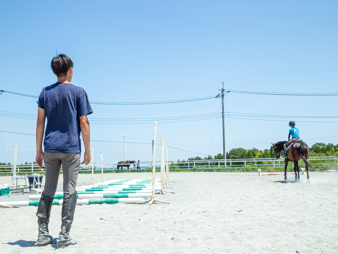 {ő勉̕~nւ鉪RnyŏnCty݂܂񂩁H