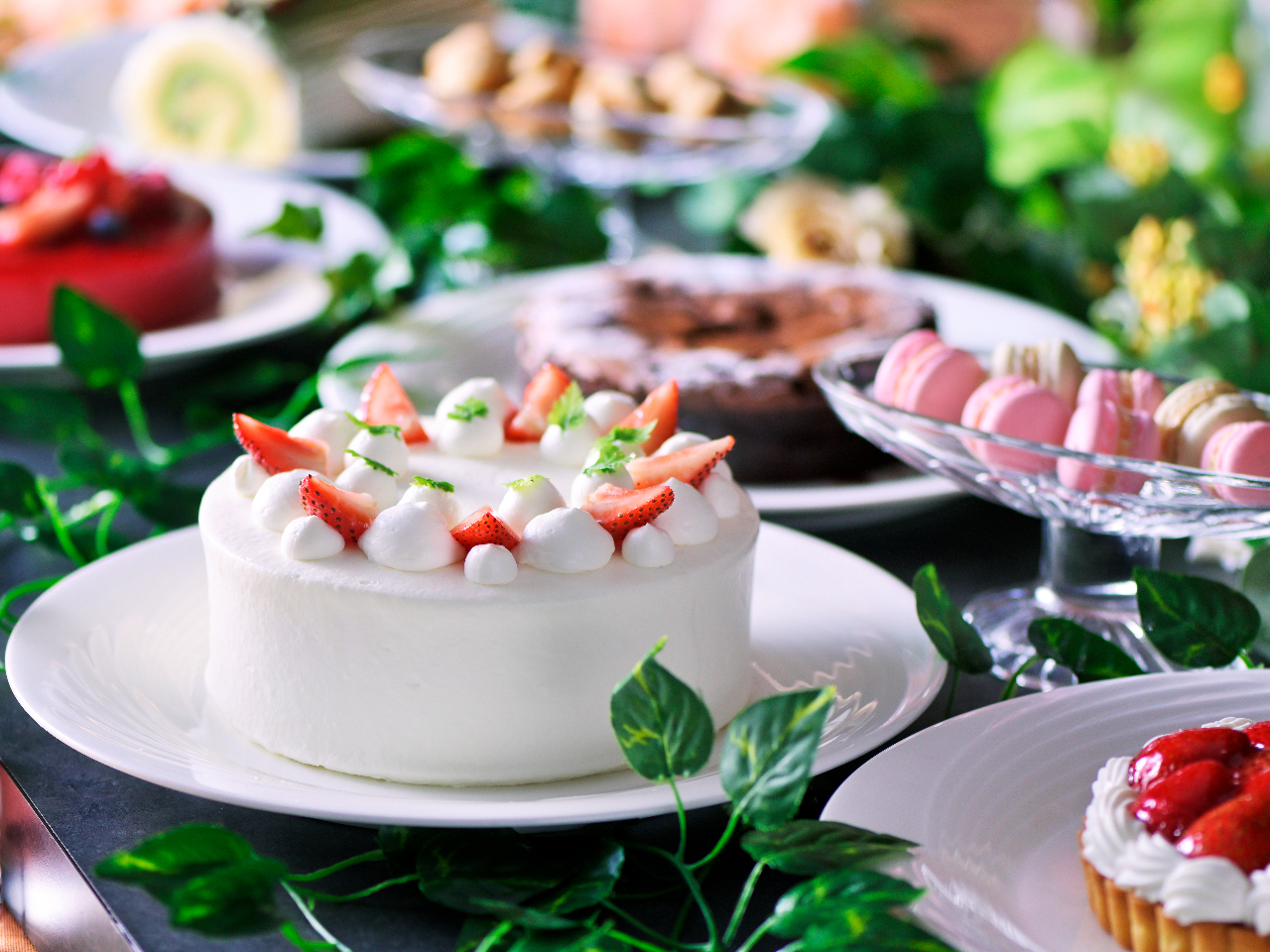 ���ʐ^�̓C���[�W�ł�