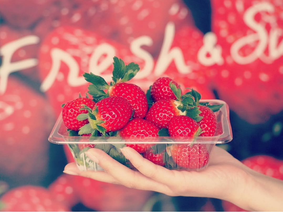 2026年もOPEN！！【4月上旬～GW】☆鳥栖駅から車で5分☆白いちごを含む