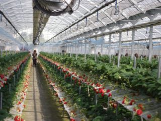 小さなお子様から体験できます。