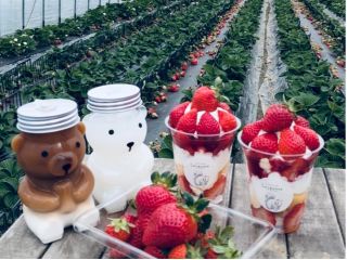 +200円でくまさんのボトルドリンクに変更可能