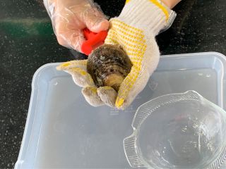 ご自身の手でアコヤ貝を開けて頂けます!