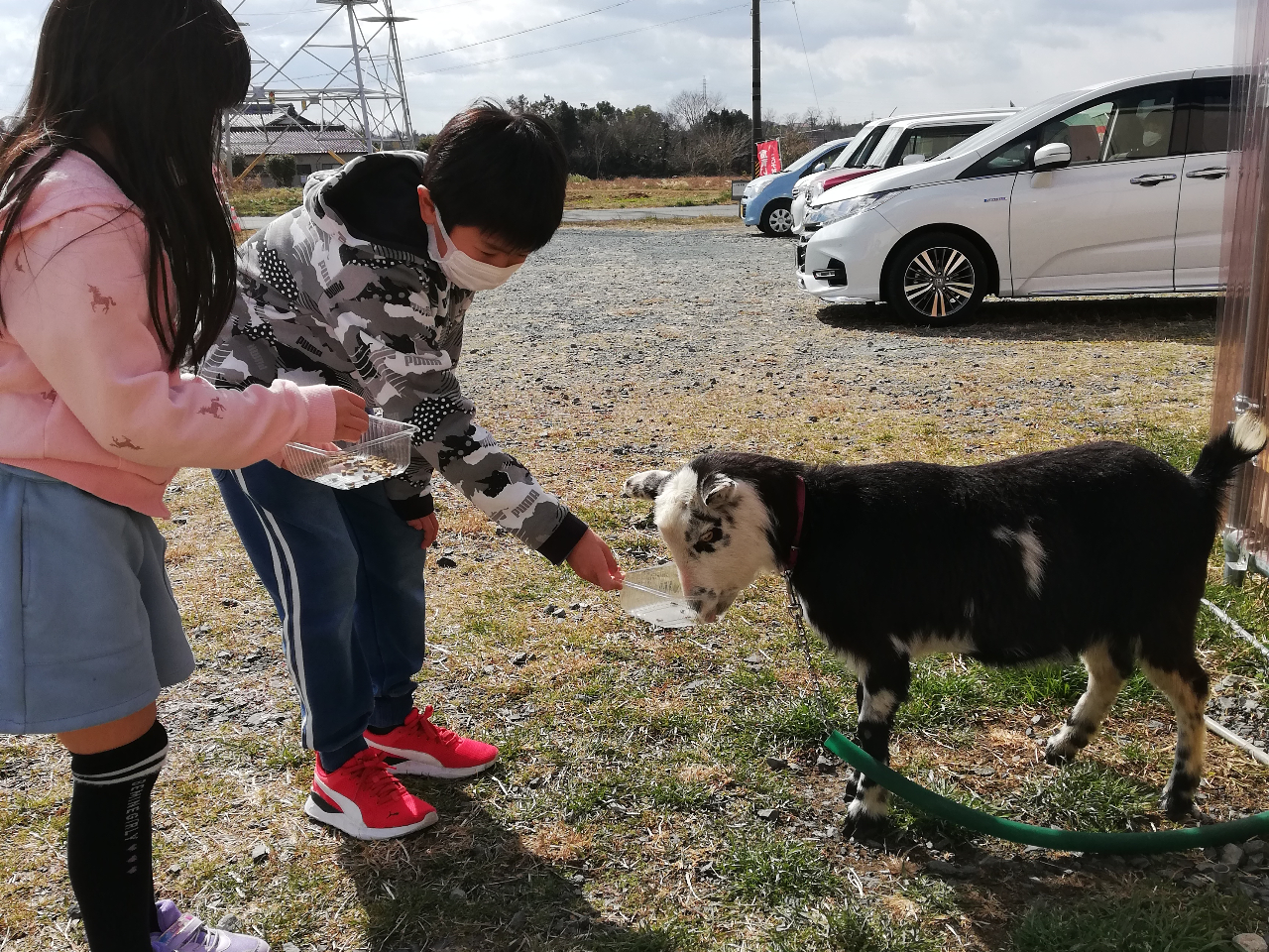 ŔM̃C̃GŤ͑lCIłAC͑ċ߂Âƕ|Ă܂̂ŁA߂ÂĂˁB