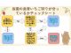 当園の食育いちご狩りが思ったものと違うと感じないように、ご確認お願いします。