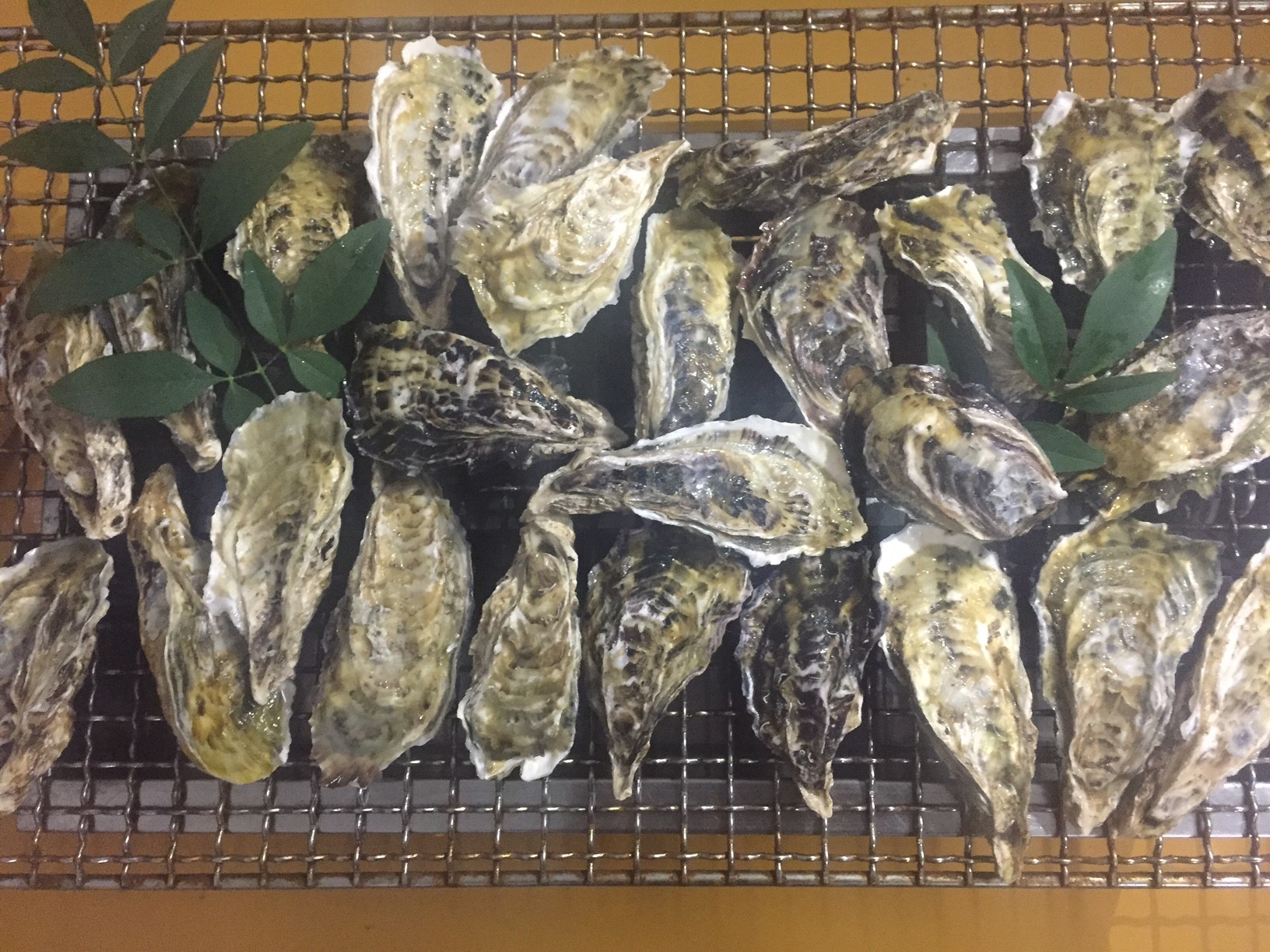 網に乗り切れないほどの牡蠣をお楽しみください