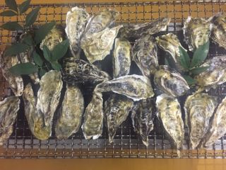 網に乗り切れないほどの牡蠣をお楽しみください