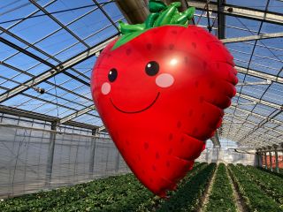 広い大型ハウスで皆様をお迎えします!